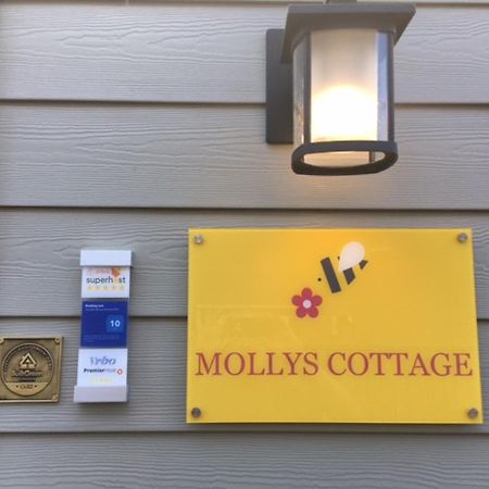 Mollys Cottage-The Suite On Vancouver Island Near Yyj Airport And The Wa And Bc Ferries North Saanich Exterior foto